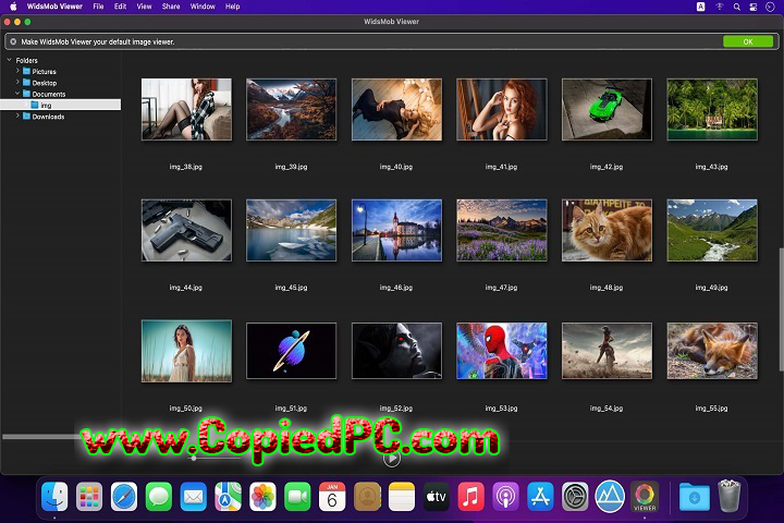 WidsMob Viewer Pro 2.7.0.118 PC Software with Key