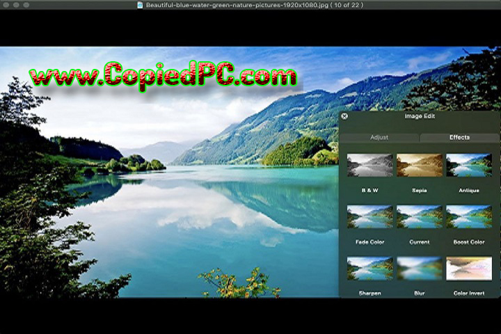 WidsMob Viewer Pro 2.7.0.118 PC Software with Crack