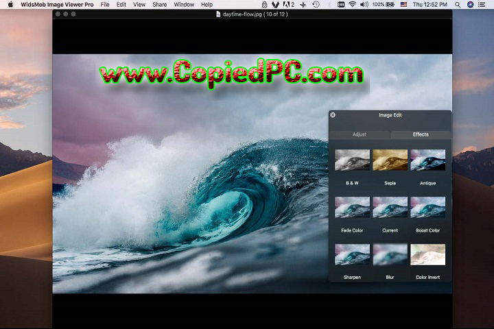 WidsMob Viewer Pro 2.7.0.118 PC Software with Patch