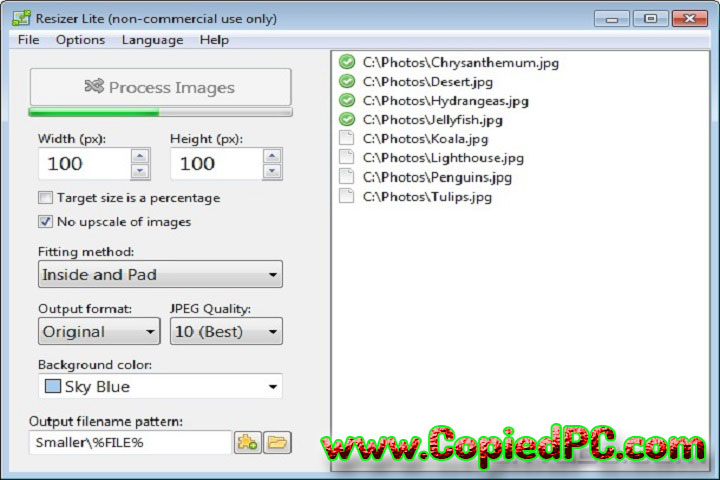 Resizer Pro 2.2.0 PC Software