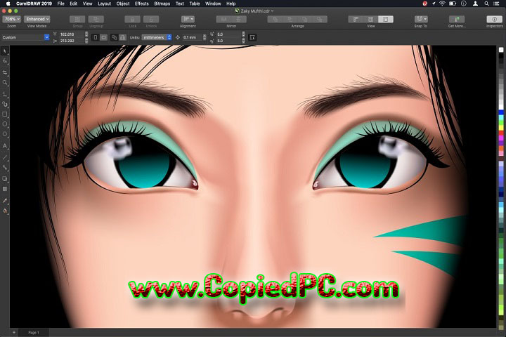 CorelDRAW Graphics Suite : Version 2024 25.2.0.55 (x64) (Software)