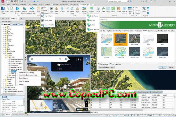 Opencartis Spatial Manager for AutoCAD Professional : Version 9.2.1.16246 (Software)