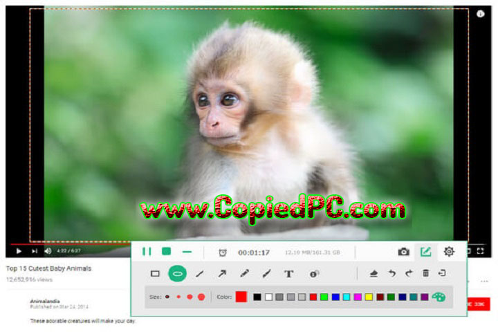  Tipard Screen Capture : Version 2.1.28 (x64) (Software)