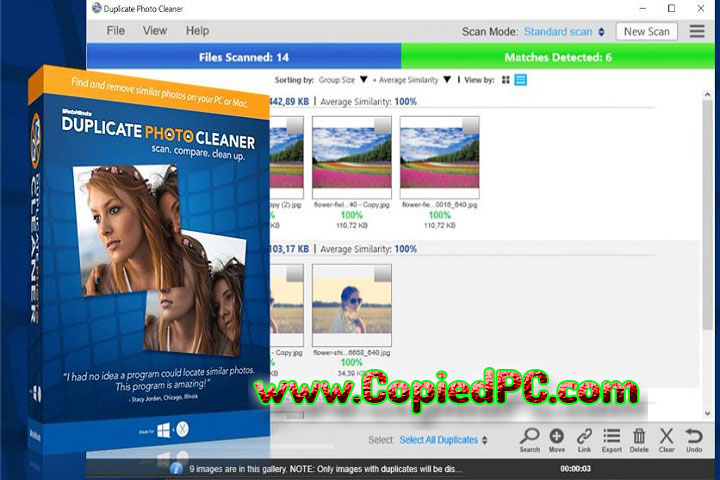 WebMinds FileCleaner Pro : Version 5.2.0 (Software)