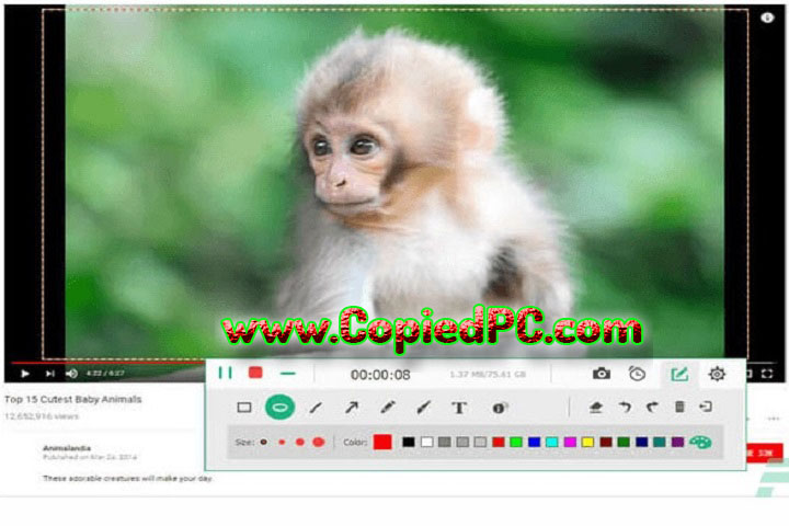 Apeaksoft Screen Recorder : Version 2.3.26 (x64) (Software)