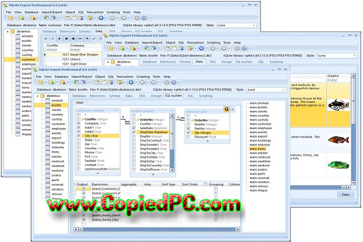 SQLite Expert Professional : Version 5.5.26.637 (x64) (Software)