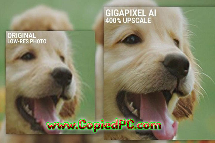 Topaz Gigapixel AI : Version 8.0.2 (x64) (Software)